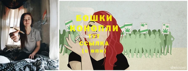 ГАЛЛЮЦИНОГЕННЫЕ ГРИБЫ Балахна