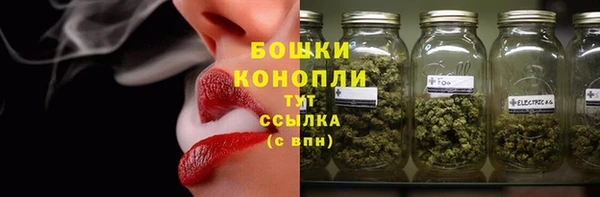 ГАЛЛЮЦИНОГЕННЫЕ ГРИБЫ Балахна