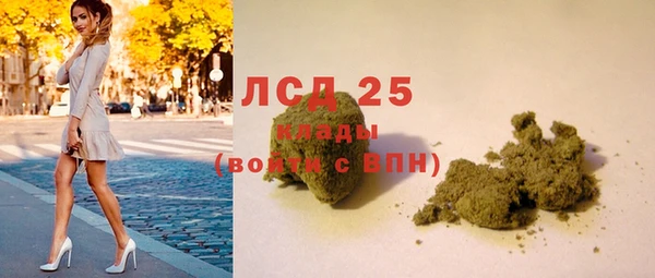 ГАЛЛЮЦИНОГЕННЫЕ ГРИБЫ Балахна