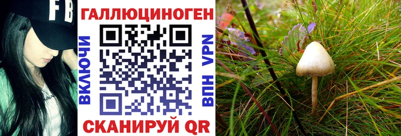 ссылка на мегу ссылки  Чусовой  Псилоцибиновые грибы MAGIC MUSHROOMS  где продают наркотики 